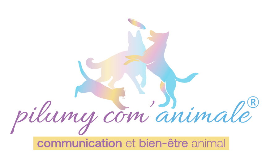 Pilumy-Logo_Complet_Registrated
